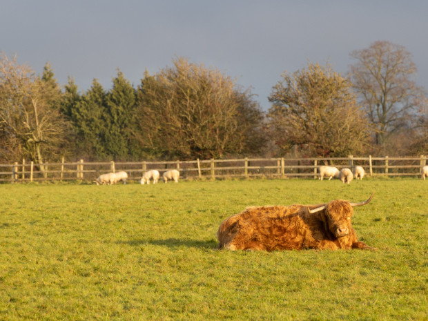 Around Clifton upon Dunsmore